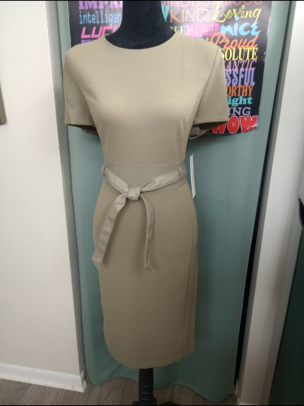 Elegant Calvin Klein Dress with a Faux Leather Tie Belt in Pale Green!.